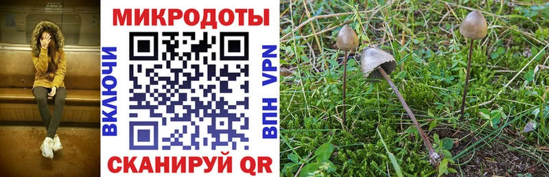 сколько стоит  мега tor  Псилоцибиновые грибы Cubensis  Ачинск 