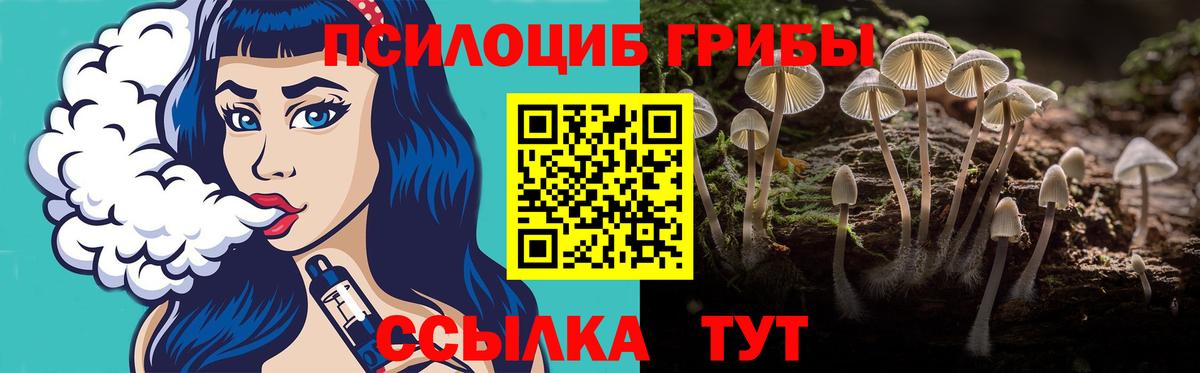 Галлюциногенные грибы мицелий  Вход с VPN  Галлюциногенные грибы Psilocybine cubensis  Ачинск 